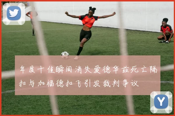 年度十佳瞬间消失爱德华兹死亡隔扣与加福德扣飞引发裁判争议